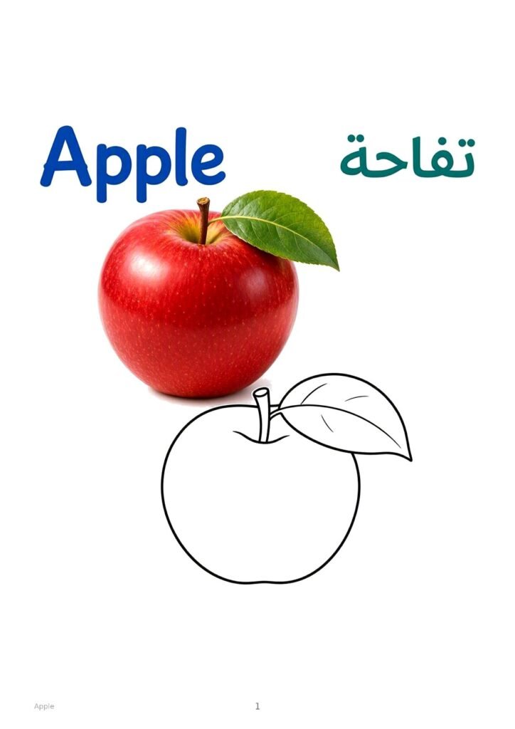 Apple coloring page, free printable outline with Apple name in English and Arabic