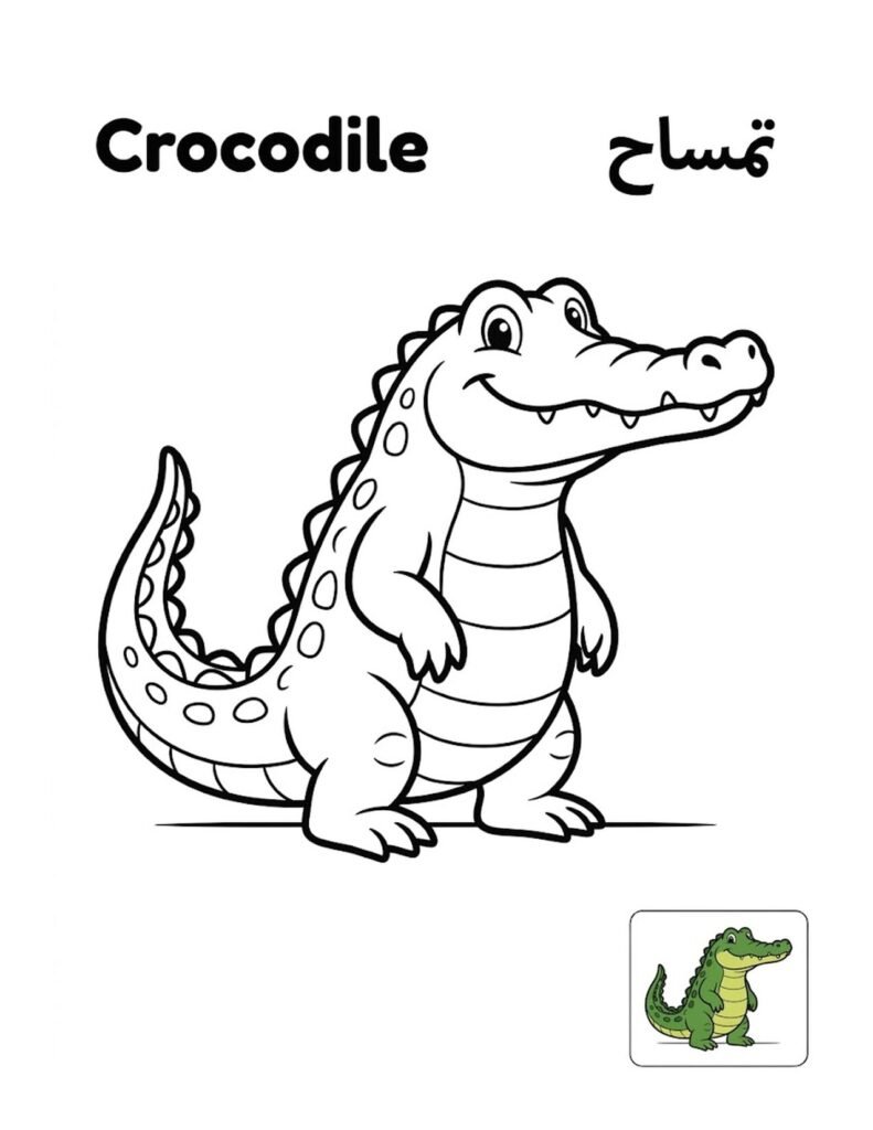 Crocodile coloring page for kids, free printable outline with Crocodile name in English and Arabic
