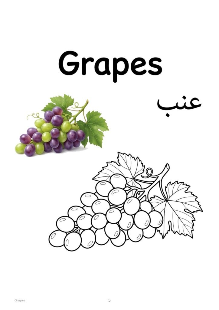 Grapes coloring page, free printable outline with Grapes name in English and Arabic