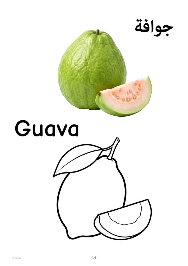 Guava coloring page, free printable outline with Guava name in English and Arabic