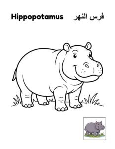 Hippopotamus coloring page