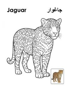 Jaguar coloring page