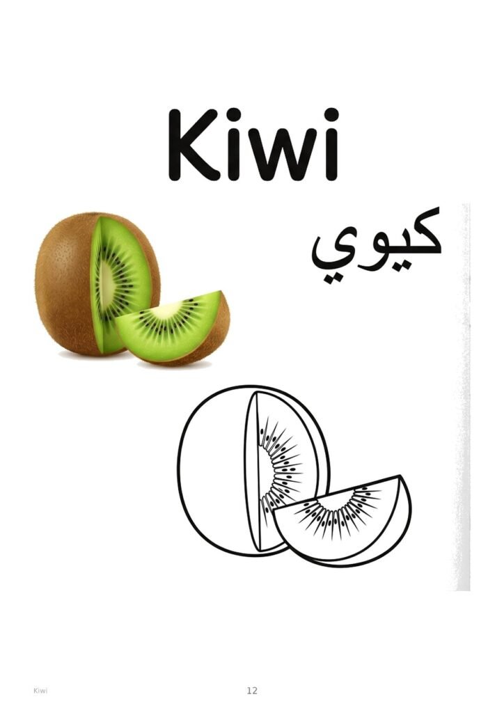 Kiwi coloring page, free printable outline with Kiwi name in English and Arabic