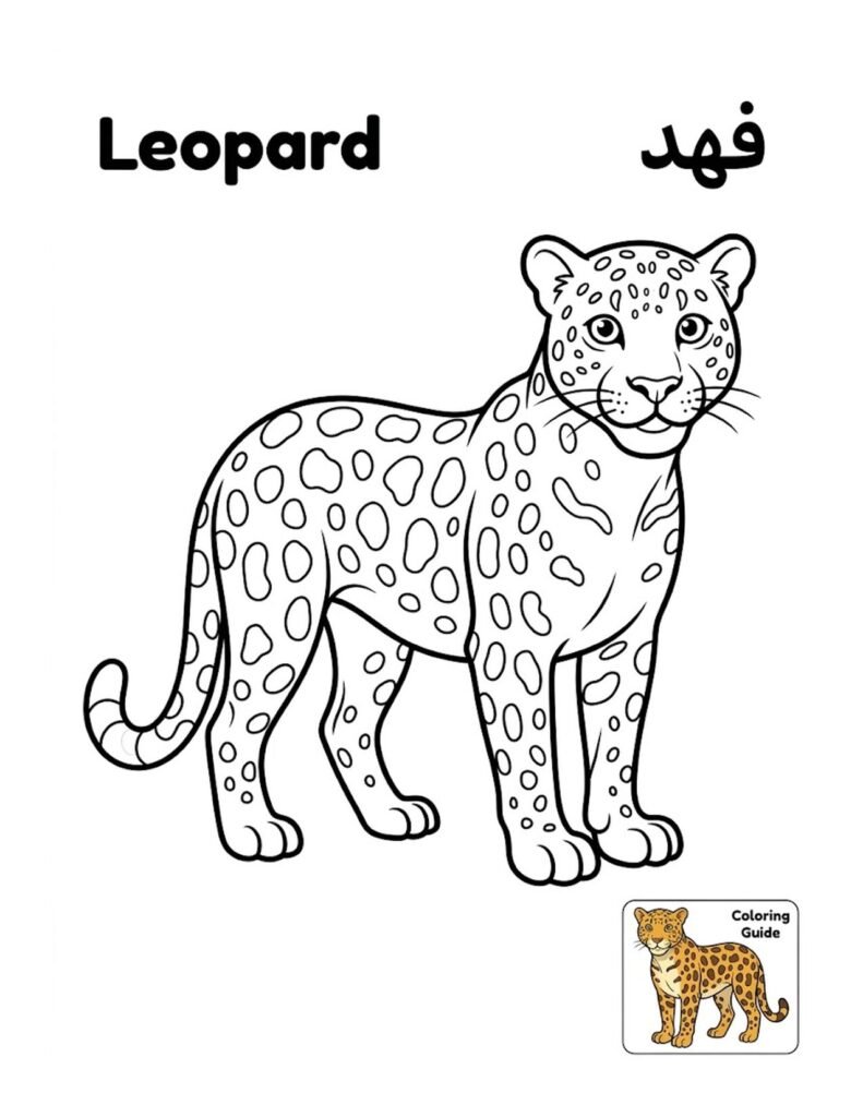Leopard coloring page for kids, free printable outline with Leopard name in English and Arabic
