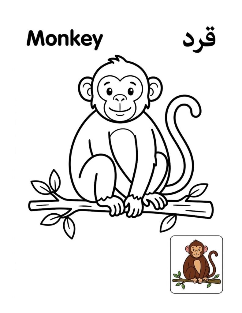 Monkey coloring page for kids, free printable outline with Monkey name in English and Arabic