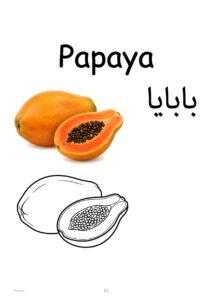Papaya coloring page