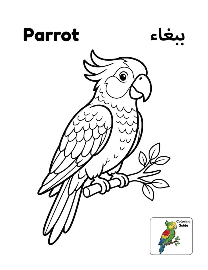 Parrot coloring page for kids, free printable outline with Parrot name in English and Arabic