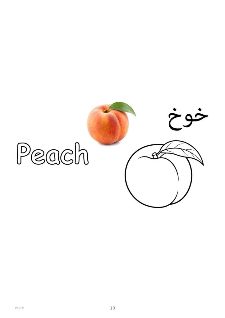 Peach coloring page, free printable outline with Peach name in English and Arabic