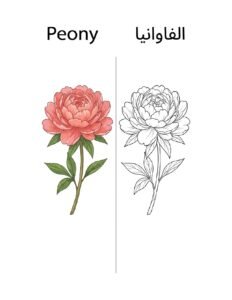 Peony coloring page