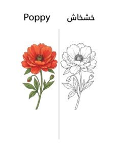 Poppy coloring page