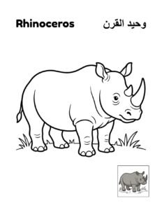 Rhinoceros coloring page