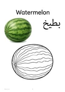 Watermelon coloring page