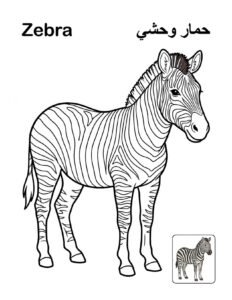 Zebra coloring page