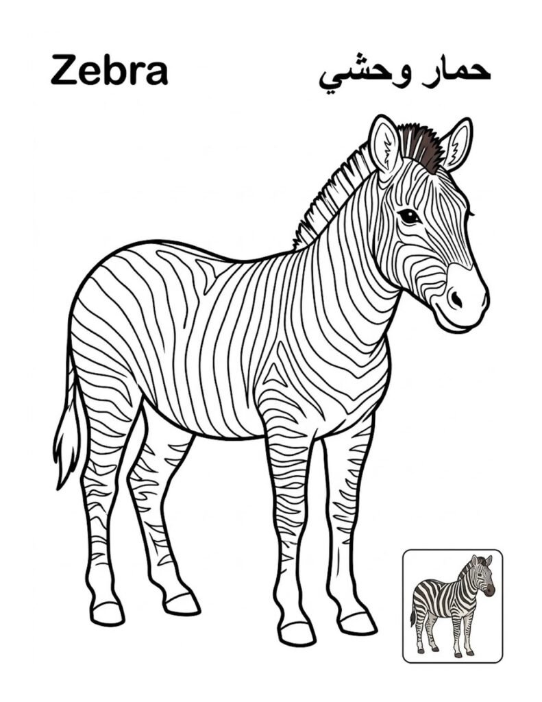Zebra coloring page for kids, free printable outline with Zebra name in English and Arabic